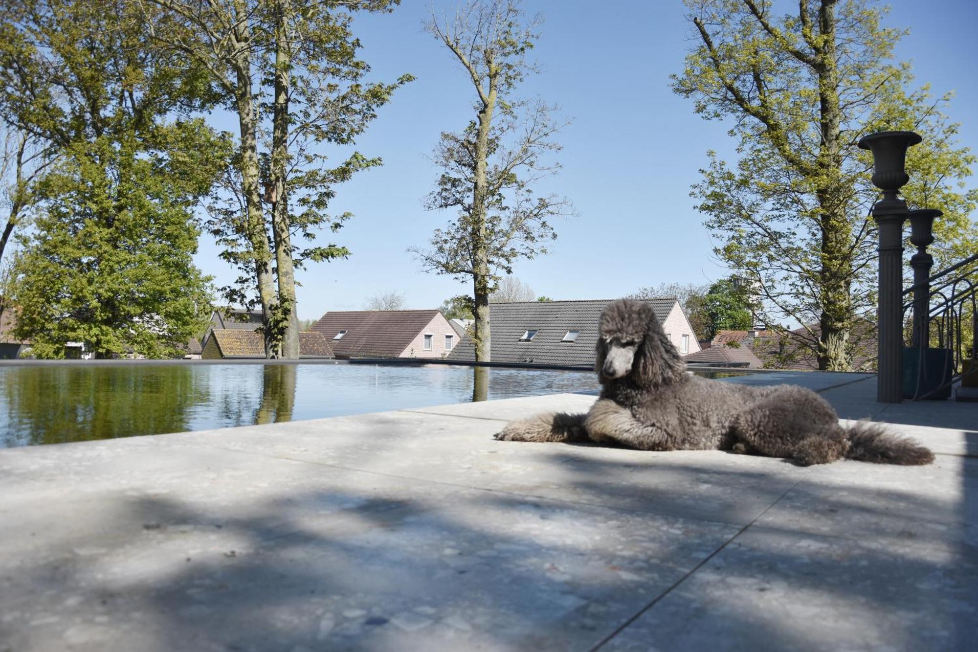 Bed and Breakfast Terp Poperinge Exterior foto